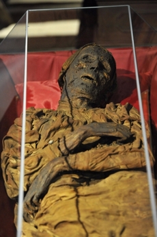 Veřejnosti se katakomby s novými expozicemi otevřou 26. listopadu.