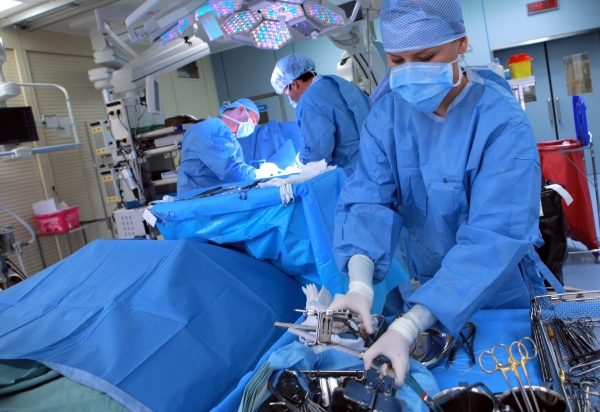 V pražském Institutu klinické a experimentální medicíny se na transplantace ledvin specializují.