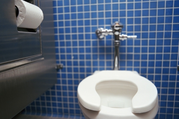 Jak se liší mužská a ženská veřejná toaleta? Na "dámách" žijí jiné bakterie.
