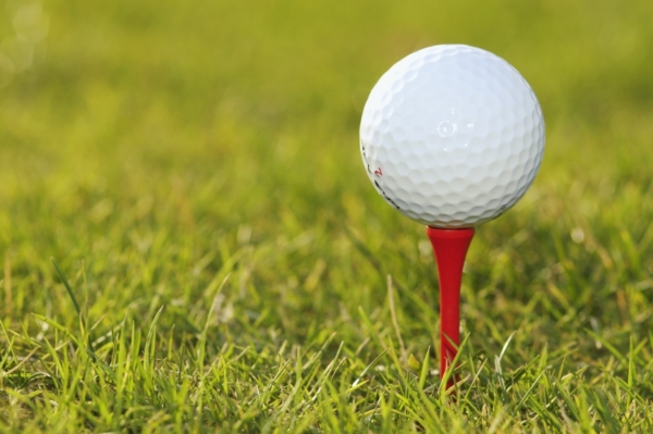 Anketu o golfistu roku ovládli Procházka s Vlčkovou.