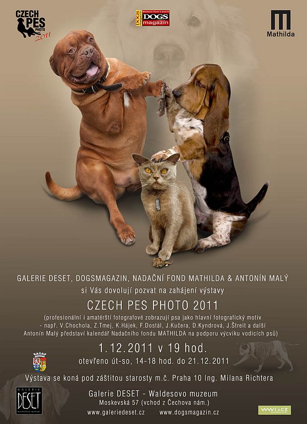 Czech Pes Photo.