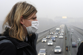 Česko v uplynulých týdnech zahalil smog. Ministr životního prostředí Tomáš Chalupa chce, aby úřednící kontrolovali, čím lidé doma topí. 