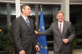 Český eurokomisař s ukrajinským boxerem Vladimirem Kličkem.