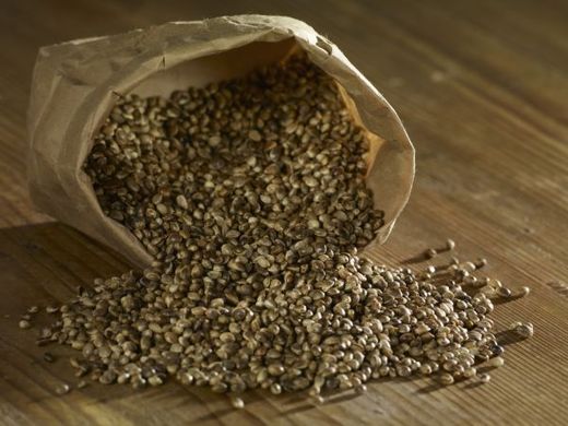 Semena konopí setého neobsahují THC. Místo toho mají více proteinů než mléko.