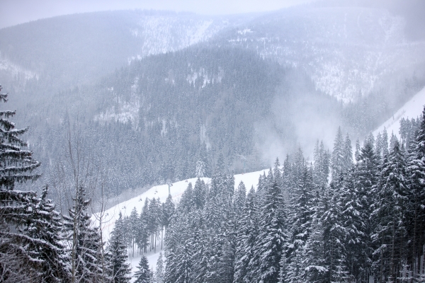 Krkonoše. Krkonoše.