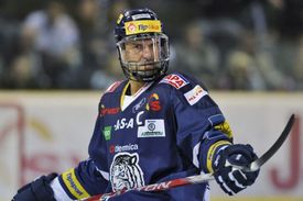 Petr Nedvěd.