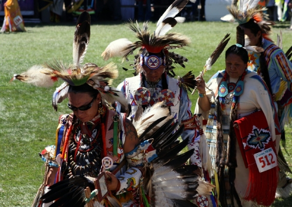 Do kmenů se mnozí snažili vstoupit kvůli výhodám. Do kmenů se mnozí snažili vstoupit kvůli výhodám.