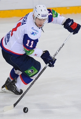 Petr Průcha.