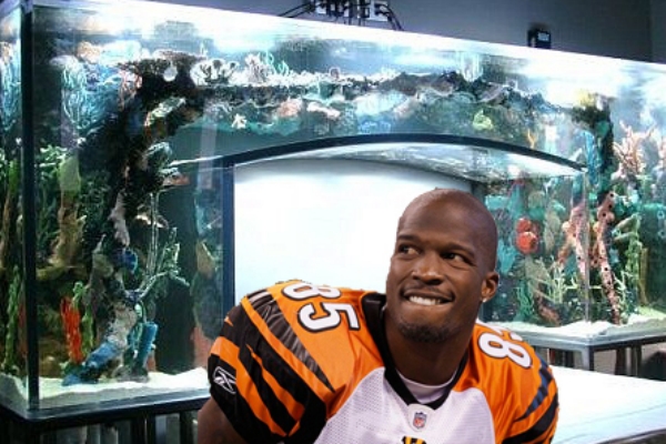 Americký fotbalista Chad Ochocinco se svým domácím akváriem.