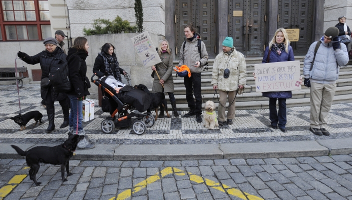Majitelé psů v Praze demonstrovali proti solení chodníků.
