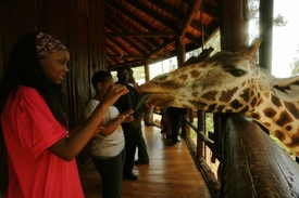 Pro děti z Nairobi je safari mnohdy stejně exotické jako pro Evropany.