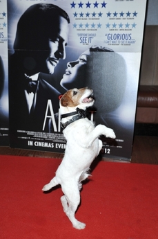 Uggie umí opravdu psí kusy.