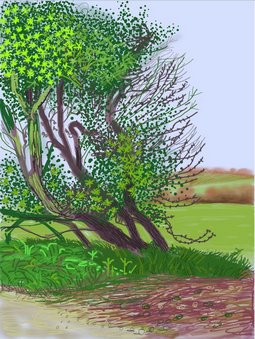 D. Hockney: Jaro přichází do Woldgate, 2011.