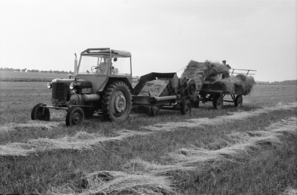 Sklizeň travin v JZD Vraclav v roce 1961.