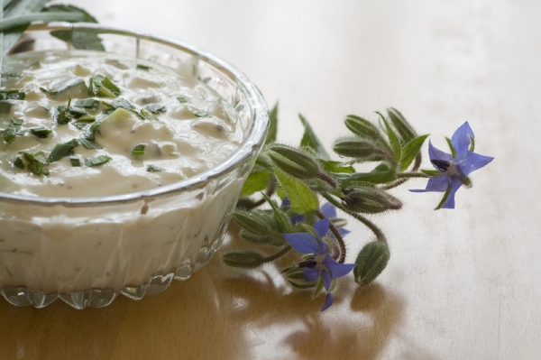 Někteří Češi řadí tzatziki mezi studené polévky.