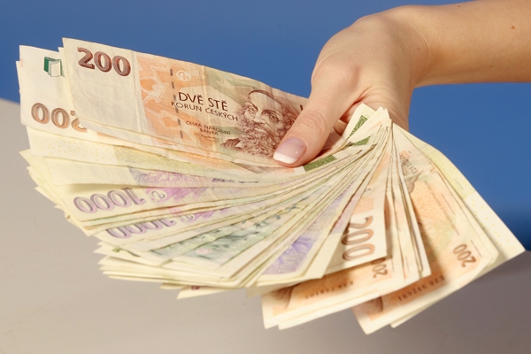 Berní úřady loni doměřily daně za 6,9 miliardy korun.