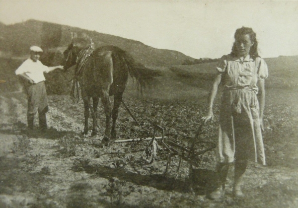 Ilustrační foto.