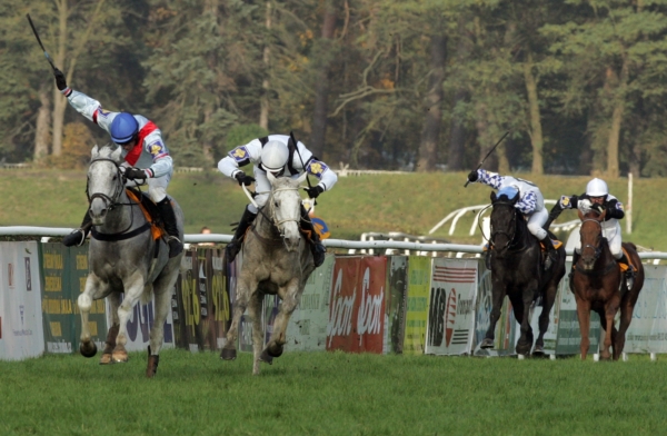 Momentka z Velké pardubické. Momentka z Velké pardubické.