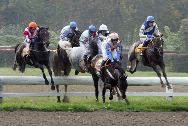 Momentka z Velké pardubické. Momentka z Velké pardubické.