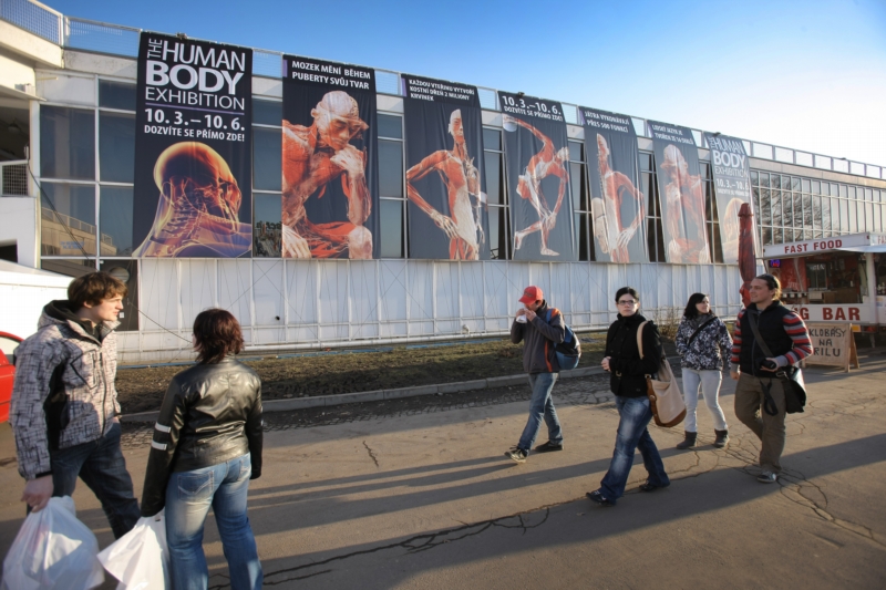 V Křižíkově pavilonu na Výstavišti začala 9. 3. 2012 výstava exponátů připravených z lidských těl.