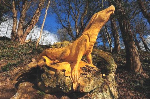 Varan v lesích u města Knaresborough.