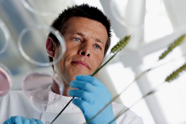 Budoucnost zemědělství závisí na biotechnologickém výzkumu.