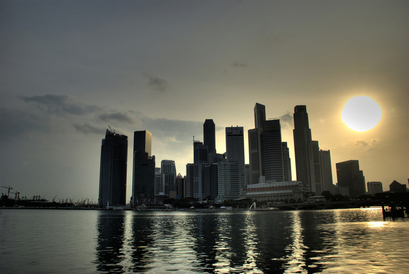 Ocelově šedý Singapur (Gyver Chang).