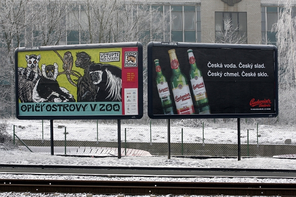 Ilustrační foto.