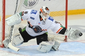 KHL představuje obrovský byznys. A tomu by zájmy Slavie zřejmě musely ustoupit.