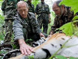 Putin tygřici popřál dobrou noc.