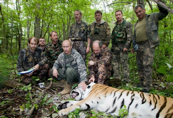 Putin se soudruhy pózuje u spící tygřice.