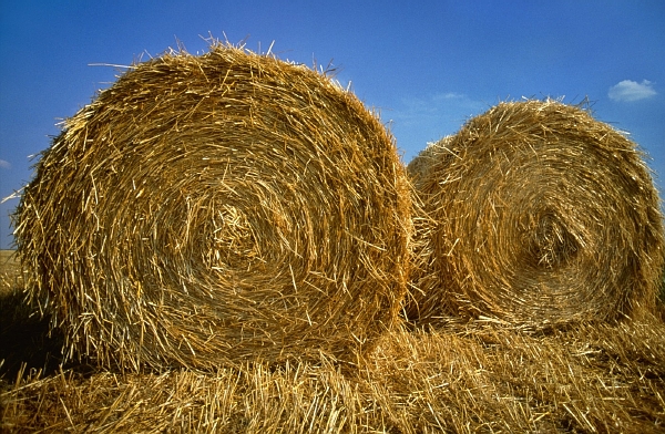 Balíky slámy (ilustrační foto). Balíky slámy (ilustrační foto).