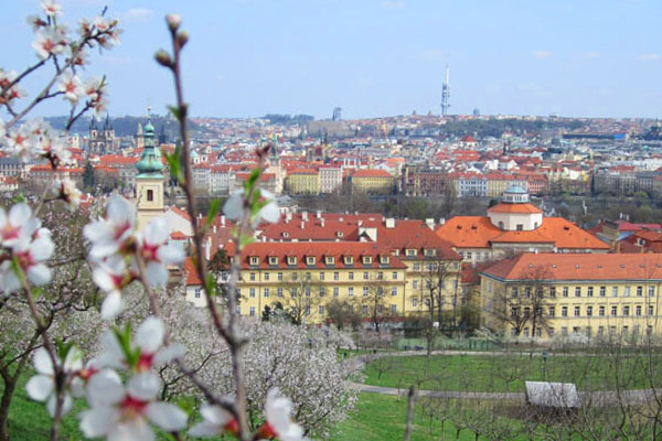 Do Česka přichází jaro.