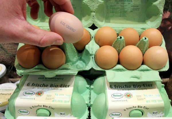 Biovejce v Německu obsahovala dioxin (ilustrační foto).