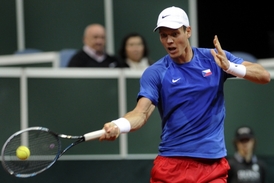 Tomáš Berdych zajistil Česku v souboji se Srbskem první bod.