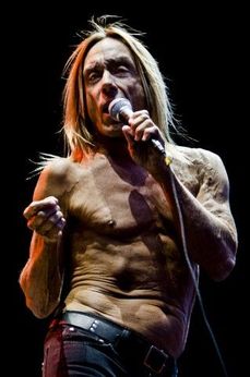 Idol mnoha punkerů i pivařů. Iggy Pop.