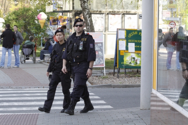 Policie se připravuje na demonstraci.