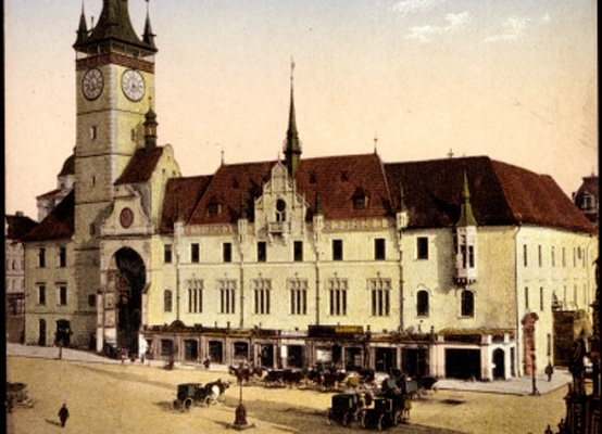 Město Olomouc. Odtud pocházela travička i oběti.