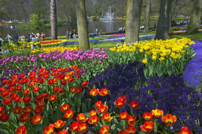 Keukenhof, známý také jako "Zahrada Evropy", je největším květinovým parkem v Nizozemsku a zároveň v Evropě.