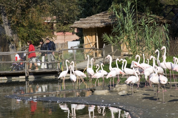 Pražská zoologická zahrada.