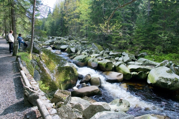 Národní park Šumava. Národní park Šumava.