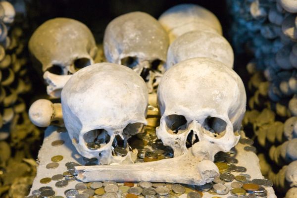 V historii se z nemoci snadno stala plošná epidemie. Co víte o největších hrozbách, kterých se obávali naši předci?