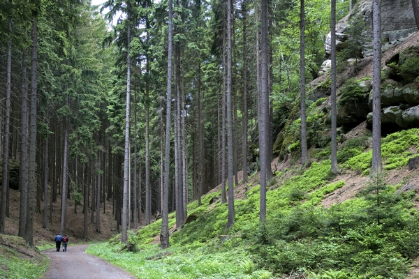 Šedesátikilometrová naučná stezka bude pro pěší i cyklisty.