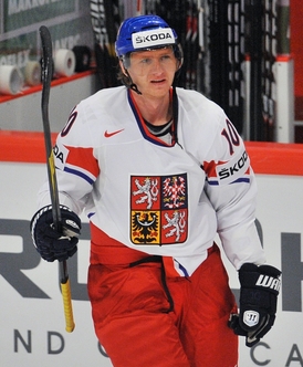 Útočník Martin Erat.