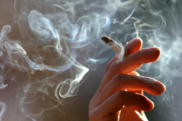 Cigarety zdražují, firmě Philip Morris rostou tržby.