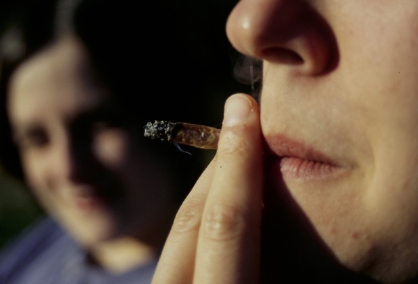 Zpráva o dočasné legalizaci marihuany nebyla pravdivá (ilustrační foto). Zpráva o dočasné legalizaci marihuany nebyla pravdivá (ilustrační foto).