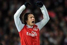 Tomáš Rosický prožil v Arsenalu skvělou sezónu.