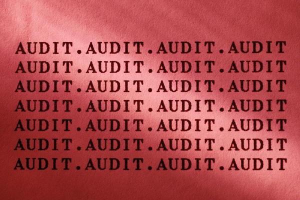 Na české dotace si posvítí auditoři z EK (ilustrační foto).