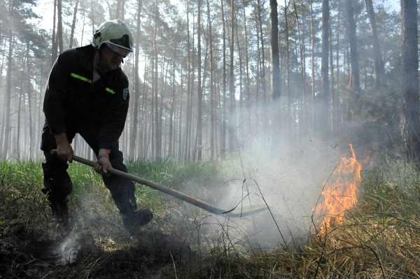 Na jihu MOravy hoří obrovská plocha lesa.