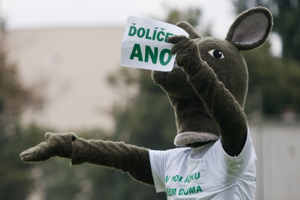 Všichni pražští "klokani" mají důvod k radosti. Všichni pražští "klokani" mají důvod k radosti.